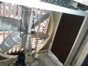 Foto de Dedetizadora Jaú em Jaú, SP por Solutudo