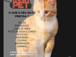 Foto de Rock Pet Store em Foz do Iguaçu, PR por Solutudo