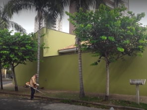 Foto de Branco Podas e Fretes (Lukas Poda) em Araçatuba, SP por Solutudo