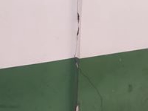Foto de Carvalho Pinturas em Botucatu, SP por Solutudo