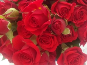 Foto de Best Flower - Floricultura, presentes e cestas em Itupeva, SP por Solutudo