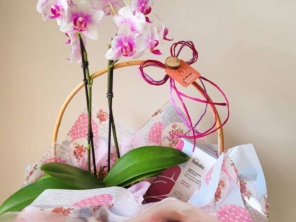 Foto de Best Flower - Floricultura, presentes e cestas em Itupeva, SP por Solutudo
