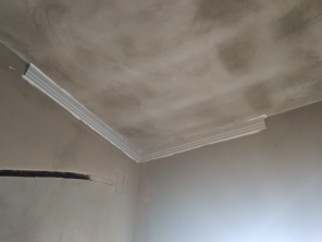 Foto de Davi. Gu. Gesso em Barretos, SP por Solutudo