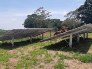 Foto de Le Solar em Catanduva, SP por Solutudo