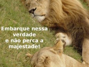 Foto de Galeria Do Sono em Hortolândia, SP por Solutudo