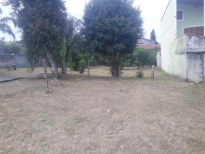 Foto de Castro Paisagismo em Mogi das Cruzes, SP por Solutudo
