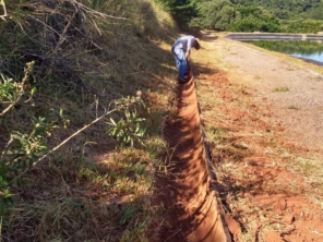Foto de Irmãos Costa Paisagismo em Piraju, SP por Solutudo