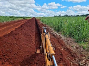 Foto de Agroterra em Pirassununga, SP por Solutudo
