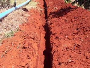 Foto de Agroterra em Pirassununga, SP por Solutudo