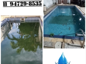 Foto de De Paula Limpeza E Manutenção De Piscinas em Suzano, SP por Solutudo