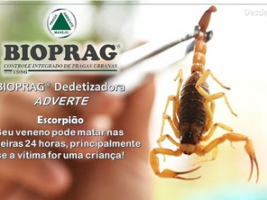 Foto de Dedetizadora Bioprag - Piracicaba em Piracicaba, SP por Solutudo
