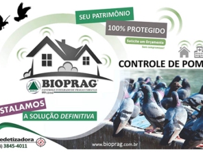 Foto de Dedetizadora Bioprag - Piracicaba em Piracicaba, SP por Solutudo