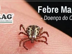 Foto de Dedetizadora Bioprag - Piracicaba em Piracicaba, SP por Solutudo