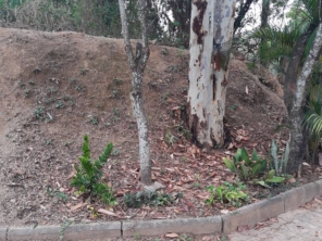 Foto de RF Terraplanagem em Cerquilho, SP por Solutudo