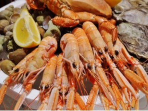 Foto de Brazilian Chef Buffet em Brasília, DF por Solutudo