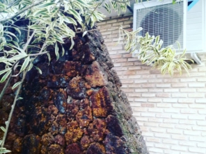 Foto de GSE Ar Condicionado em Brasília, DF por Solutudo