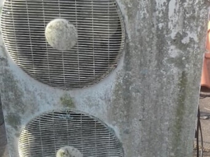 Foto de Cabeças Elétricas em Ferraz de Vasconcelos, SP por Solutudo