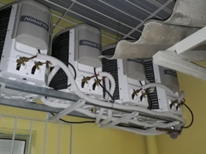 Foto de Cabeças Elétricas em Ferraz de Vasconcelos, SP por Solutudo