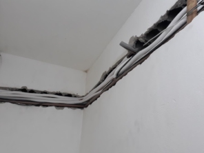 Foto de Cabeças Elétricas em Ferraz de Vasconcelos, SP por Solutudo