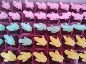 Foto de Maria's Doces Personalizados em São Manuel, SP por Solutudo