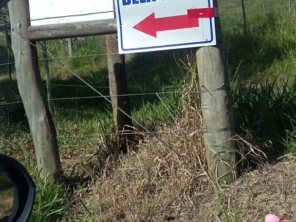 Foto de Chácara Estância Bela Vista em São Manuel, SP por Solutudo