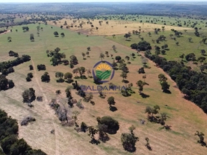 Foto de Saldanha Imoveis em Campo Grande, MS por Solutudo