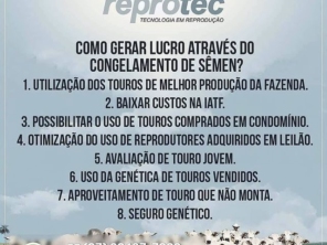 Foto de Reprotec Tecnologia Em Reproducao Ltda em Campo Grande, MS por Solutudo