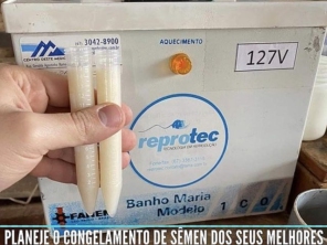 Foto de Reprotec Tecnologia Em Reproducao Ltda em Campo Grande, MS por Solutudo
