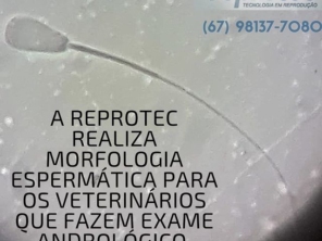Foto de Reprotec Tecnologia Em Reproducao Ltda em Campo Grande, MS por Solutudo