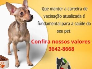 Foto de Clínica Veterinária Mikosz em Araucária, PR por Solutudo