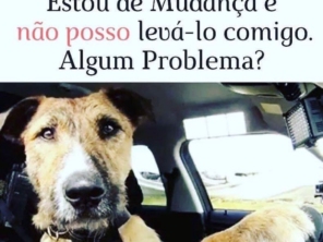 Foto de Clínica Veterinária Mikosz em Araucária, PR por Solutudo