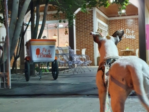 Foto galeria da empresa