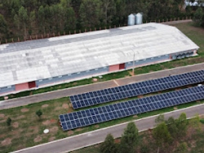 Foto de Forte Energia em Goiânia, GO por Solutudo