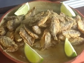 Foto de Pé de Peixe Aracatu em Botucatu, SP por Solutudo