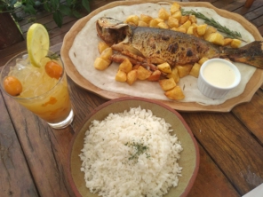 Foto de Pé de Peixe Aracatu em Botucatu, SP por Solutudo