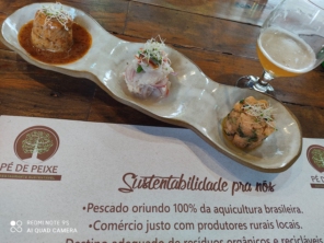Foto de Pé de Peixe Aracatu em Botucatu, SP por Solutudo