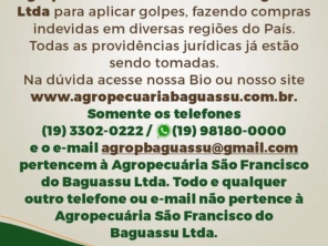 Foto galeria da empresa