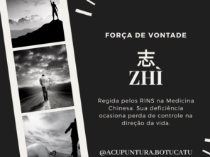 Foto de Acupuntura e Shiatsu Dr. Marcelo Sansone em Botucatu, SP por Solutudo