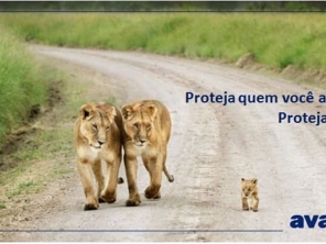 Foto de Seguros Avance - Corretora de Seguros em Rio do Sul, SC por Solutudo