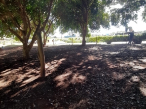 Foto de Navem - Jardinagem e Paisagismo em Santa Bárbara Resort Residence, SP por Solutudo