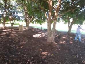 Foto de Navem - Jardinagem e Paisagismo em Santa Bárbara Resort Residence, SP por Solutudo