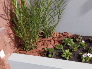 Foto de Navem - Jardinagem e Paisagismo em Santa Bárbara Resort Residence, SP por Solutudo