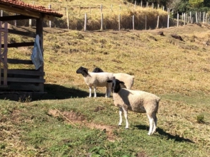 Foto de Pousada Agua Limpa em Virgínia, MG por Solutudo