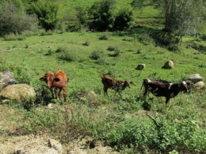 Foto de Pousada Agua Limpa em Virgínia, MG por Solutudo