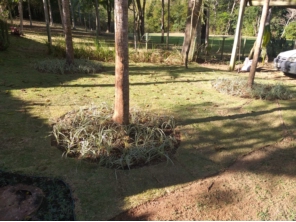 Foto de Chão Verde em Mutum, MG por Solutudo