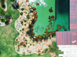 Foto de Chão Verde em Mutum, MG por Solutudo