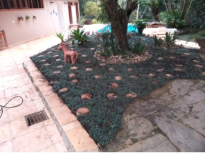 Foto de Chão Verde em Mutum, MG por Solutudo