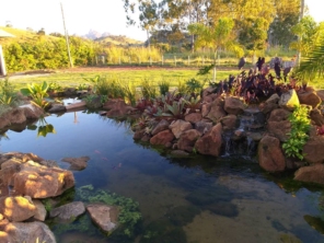 Foto de Chão Verde em Mutum, MG por Solutudo