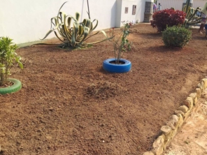 Foto de Chão Verde em Mutum, MG por Solutudo