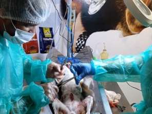 Foto galeria da empresa